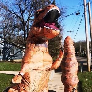 Meet your Posher, Lora